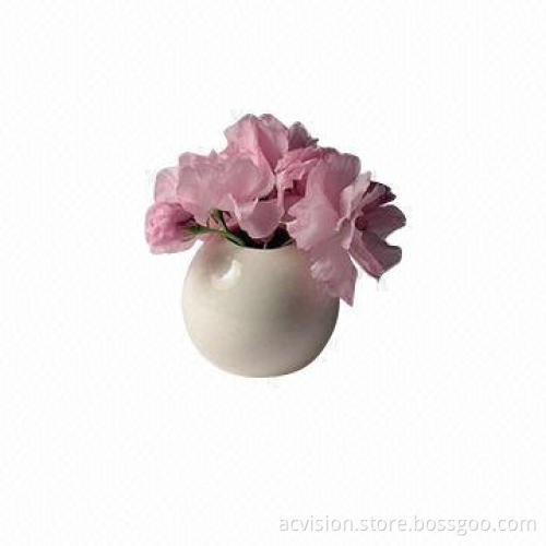 Fruit-shaped ceramic home decoration vase for decor